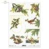 Christmas, Christmas motifs, Christmas bell, spruce branches, holly, Christmas decorations, Christmas ornaments, 